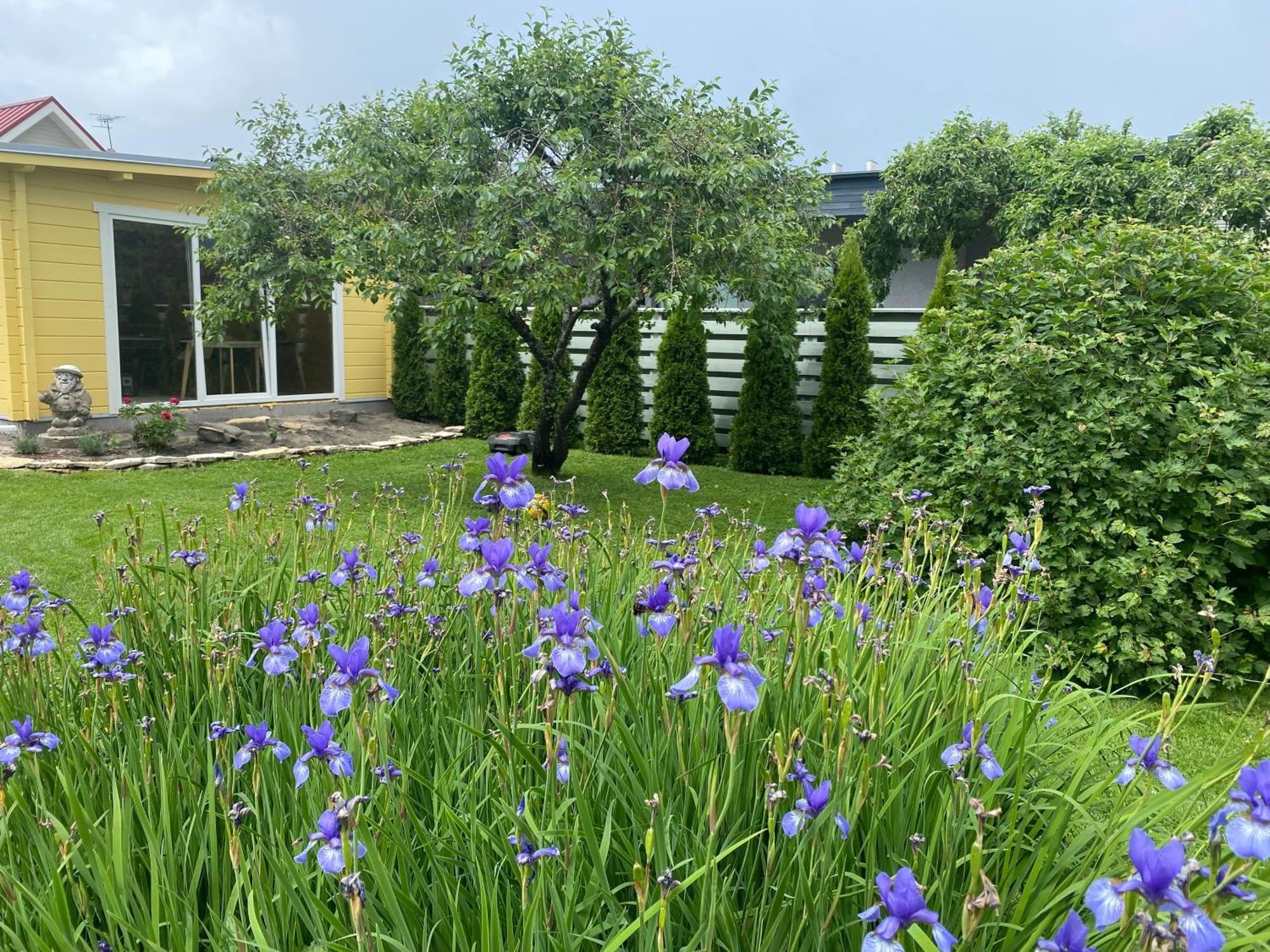 Apartamento Ranna Majutus Pärnu Exterior foto